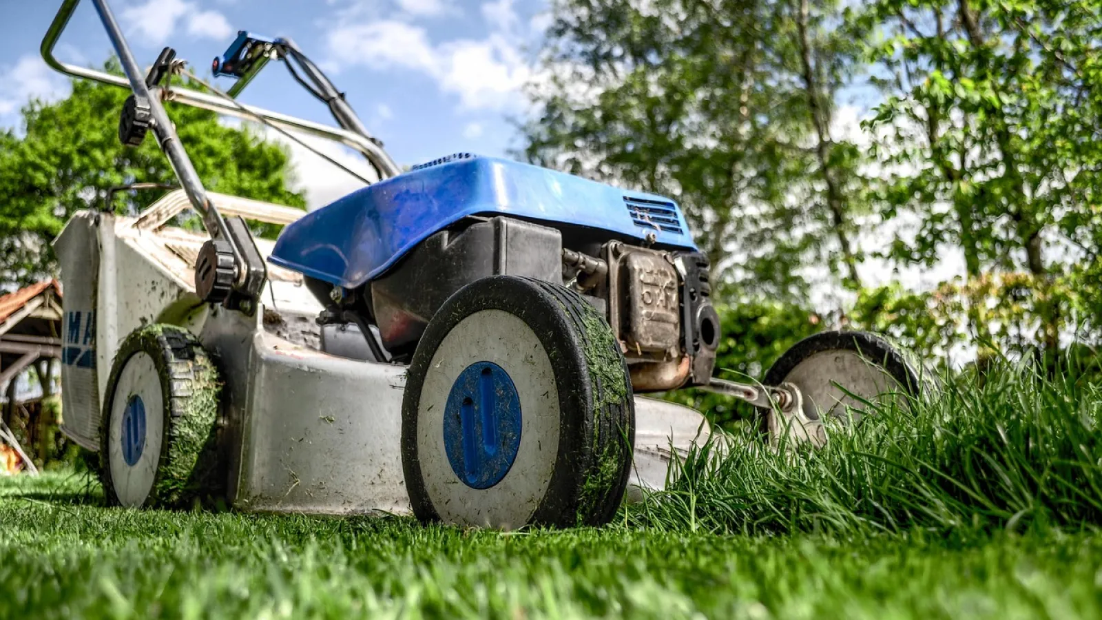 Herramientas de jardinería: motosierras, desbrozadoras y más