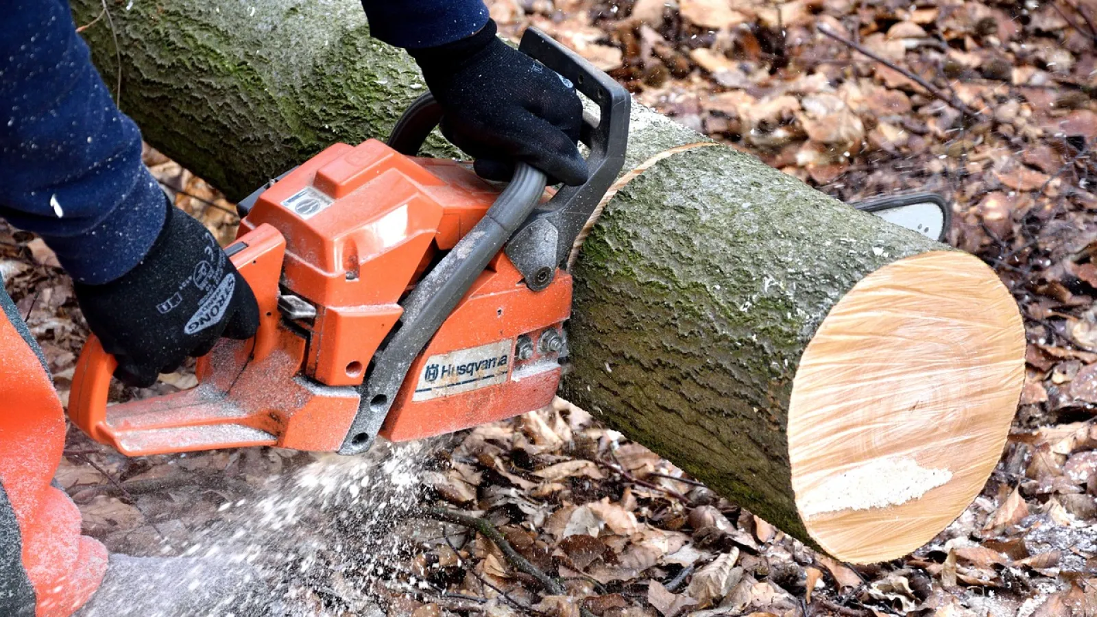 Mejores motosierras para casa y jardín